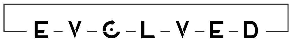 Evolved Digital MArketing Florida